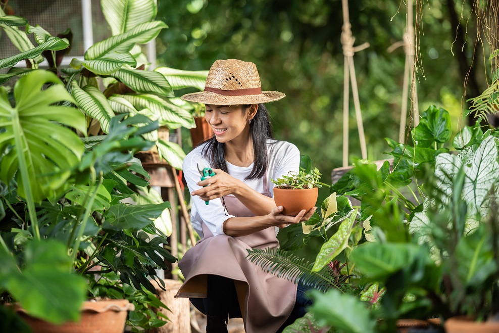 Jardinagem: cultivar pode reduzir estresse e ansiedade